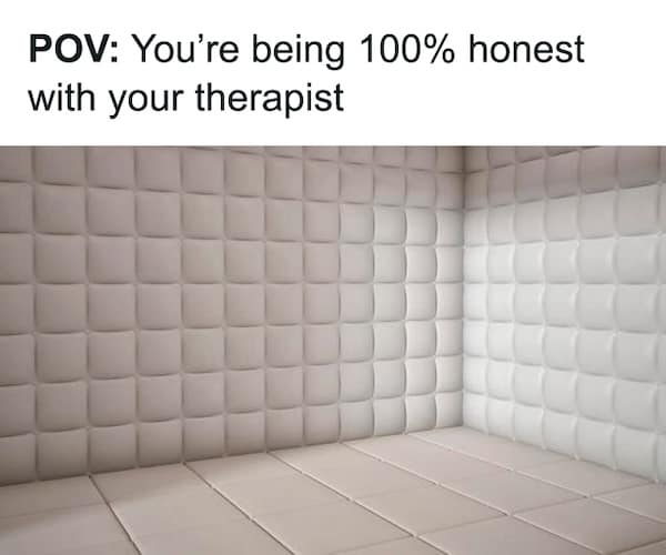 nihilist memes. POV: You're being 100% honest with your therapist