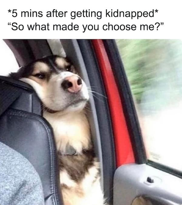 nihilist memes. *5 mins after getting kidnapped* "So what made you choose me?"