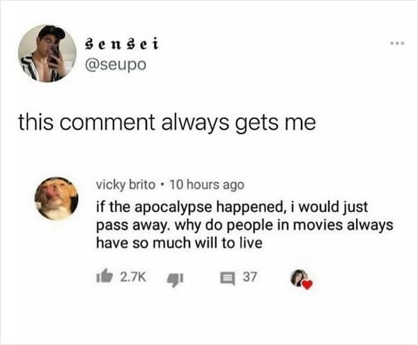 nihilist memes. this comment always gets me