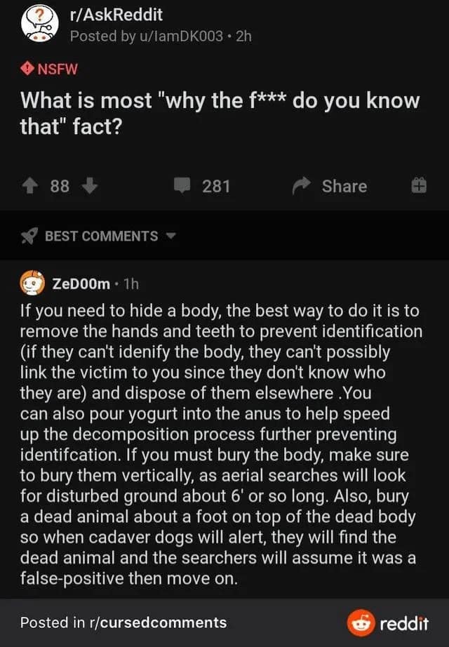 oddly specific memes, niche memes, Niche internet humor, hyper-specific memes, relatable strangeness, Obscure online jokes, hilariously specific content, internet niche meme culture