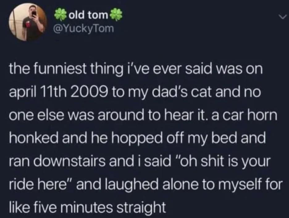 oddly specific memes, niche memes, specific interest memes, obscure online jokes, targeted humor memes