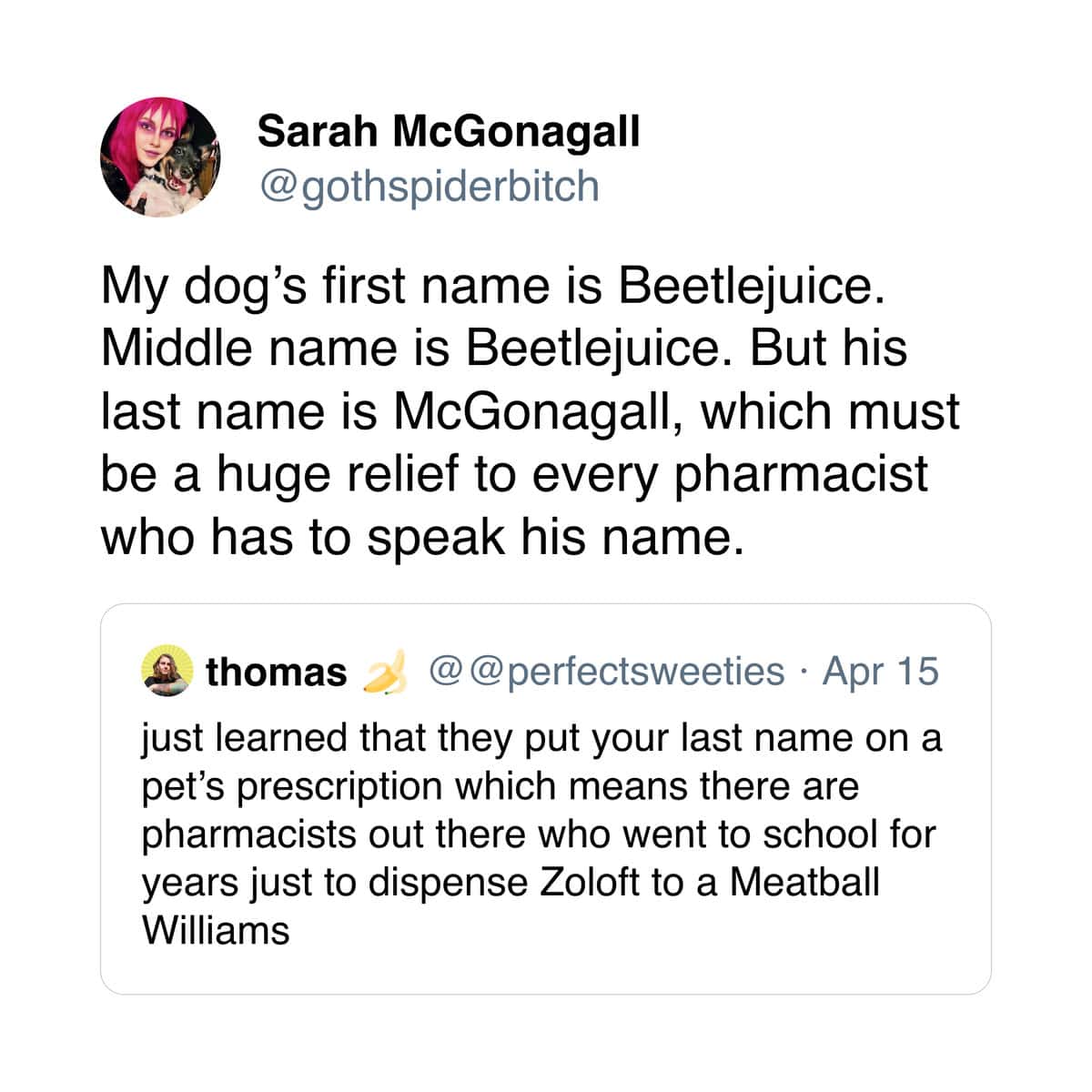 My dog's first name is Beetlejuice. Middle name is Beetlejuice. But his last name is McGonagall, which must be a huge relief to every pharmacist who has to speak his name.