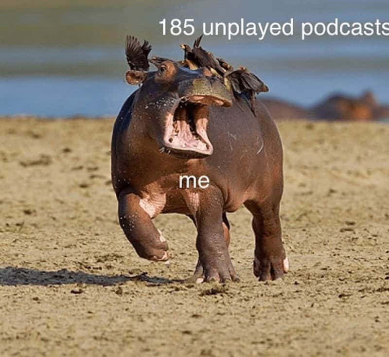Podcast Memes. 185 unplayed podcasts me