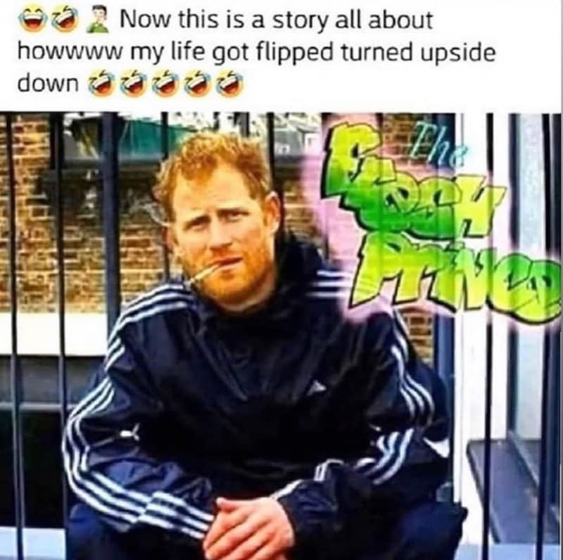 prince harry memes, prince harry, duke of sussex, Royal Family Humor, Royal Blunders, Duke of Sussex Shenanigans, Regal Roasts, Hilarious Harry, Meme-able Moments