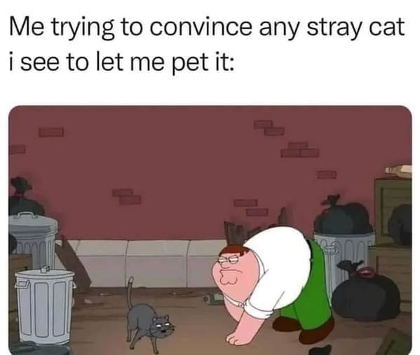 relatable memes, Funny Memes, Hilarious Memes, Amusing Memes