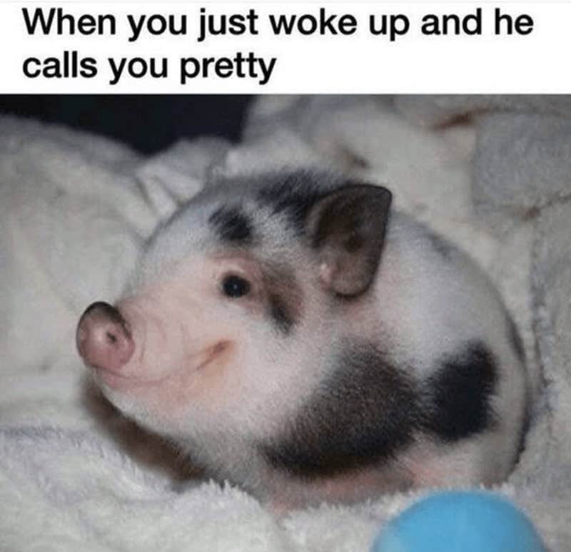 relationship memes. When you just woke up and he calls you pretty