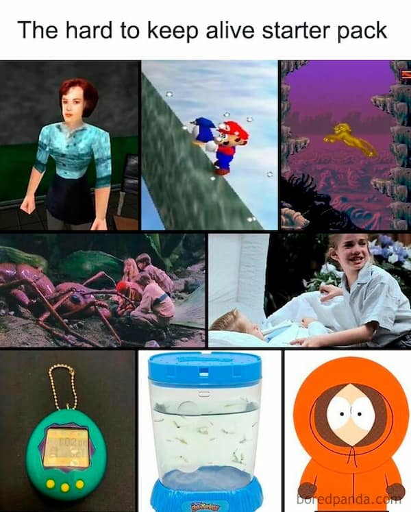 retro memes, throwback pictures