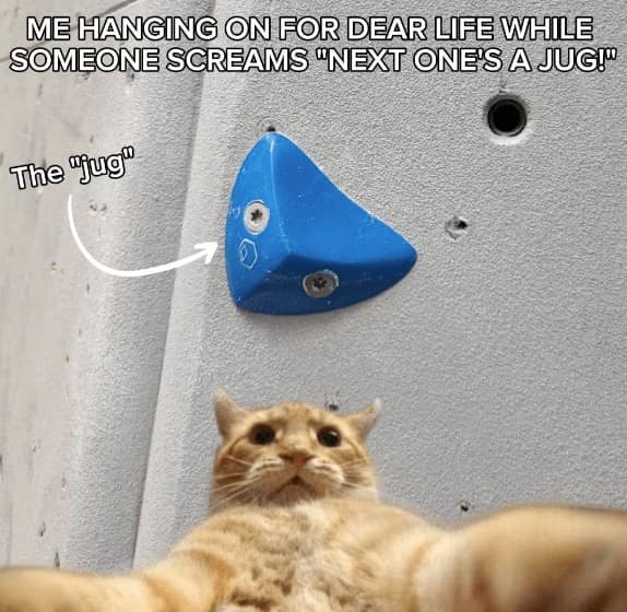 ME HANGING ON FOR DEAR LIFE WHILE SOMEONE SCREAMS "NEXT ONE'S A JUG!" The "jug"