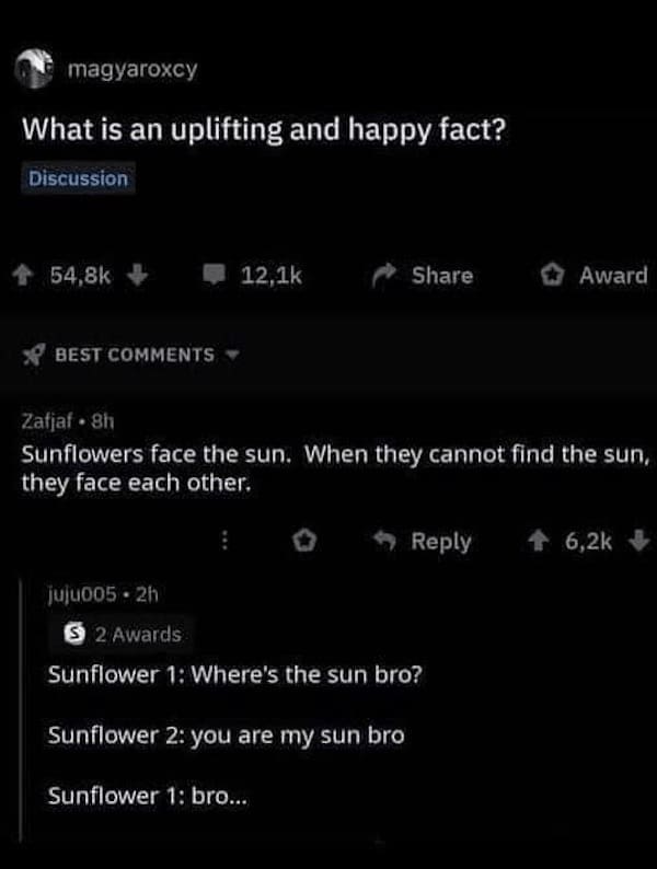 science memes, Funny Science Stuff, Hilarious Lab Antics, Scientific Humor, Nerdy Laboratory Jokes, Science Jokes and Puns, Researcher Riddles