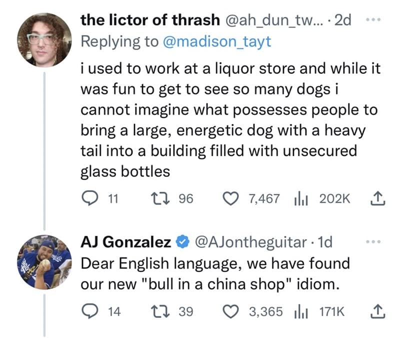 i used to work at a liquor store and while it was fun to get to see so many dogs i cannot imagine what possesses people to bring a large, energetic dog with a heavy tail into a building filled with unsecured glass bottles