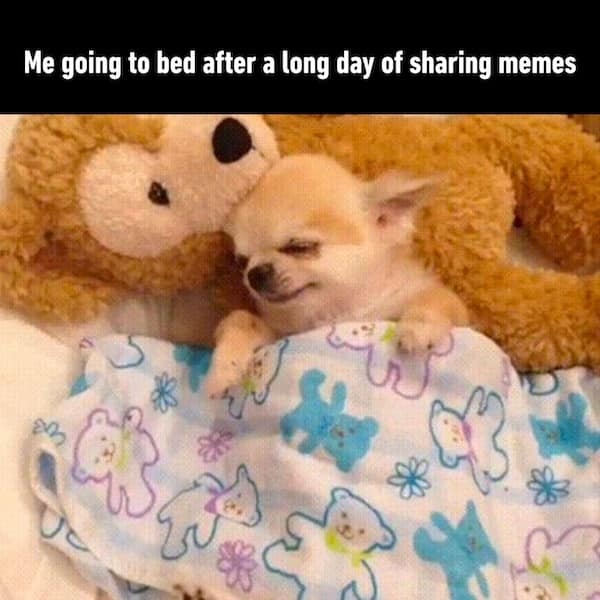 sleep memes, insomnia memes, sleep deprived memes, funny sleep memes, tired memes, relatable memes, sleep-related memes, exhaustion memes, laughter therapy memes