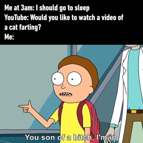 sleep memes, insomnia memes, sleep deprived memes, funny sleep memes, tired memes, relatable memes, sleep-related memes, exhaustion memes, laughter therapy memes