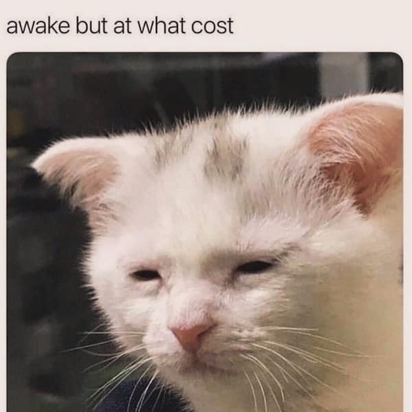 sleep memes, insomnia memes, sleep deprived memes, funny sleep memes, tired memes, relatable memes, sleep-related memes, exhaustion memes, laughter therapy memes