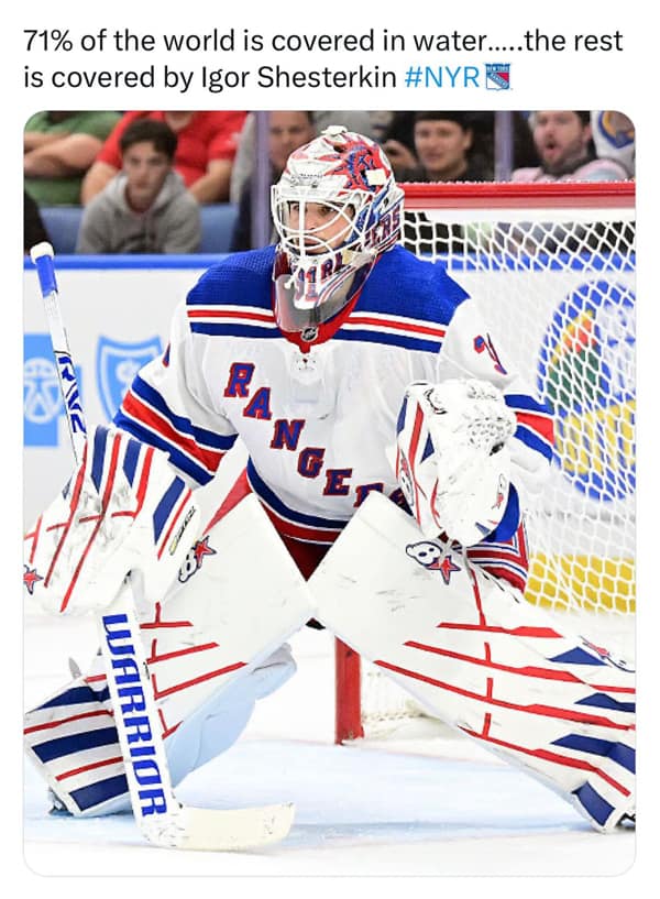 Stanley cup memes, hockey memes, NHL memes, NHL playoffs memes, NHL playoff memes, Hilarious Hockey Memes, Funny Fan Content, Playoff Hockey Humor, Online Hockey Community, Puck Yeah! Memes