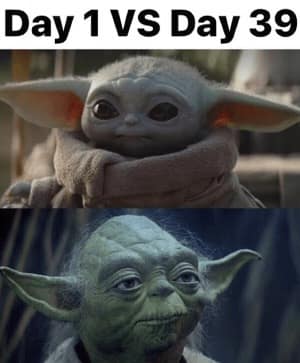 survivor memes, reality TV memes, reality show memes, reality television memes, Survivor host memes, Jeff Probst funny moments