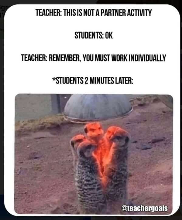 Teacher Memes. TEACHER: THIS IS NOT A PARTNER ACTIVITY STUDENTS: OK TEACHER: REMEMBER, YOU MUST WORK INDIVIDUALLY *STUDENTS 2 MINUTES LATER: