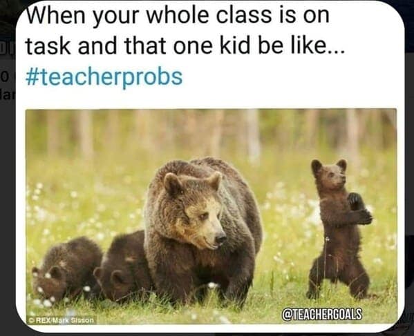 Teacher Memes. When your whole class is on task and that one kid be like...