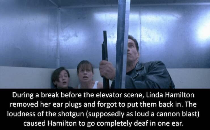 Terminator memes, Terminator Jokes, Arnold Schwarzenegger Memes ,Funny Terminator References