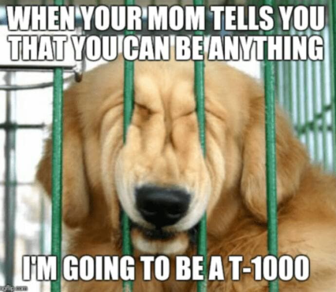 Terminator memes, Terminator Jokes, Arnold Schwarzenegger Memes ,Funny Terminator References