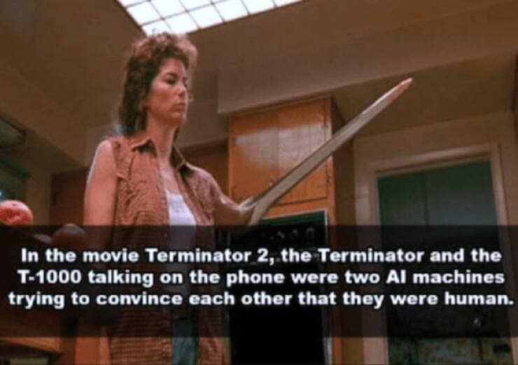 Terminator memes, Terminator Jokes, Arnold Schwarzenegger Memes ,Funny Terminator References
