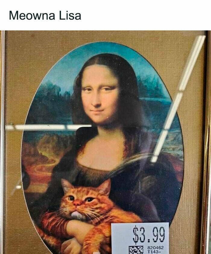 thrift store finds, vintage clothing, secondhand stores, bargain shopping, thrifted treasures, consignment shops, pre-loved clothes