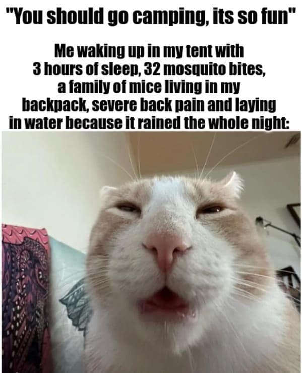 vacation memes. "You should go camping, its so fun" Me waking up in my tent with 3 hours of sleep, 32 mosquito bites, a family of mice living in my backpack, severe back pain and laying in water because it rained the whole night: