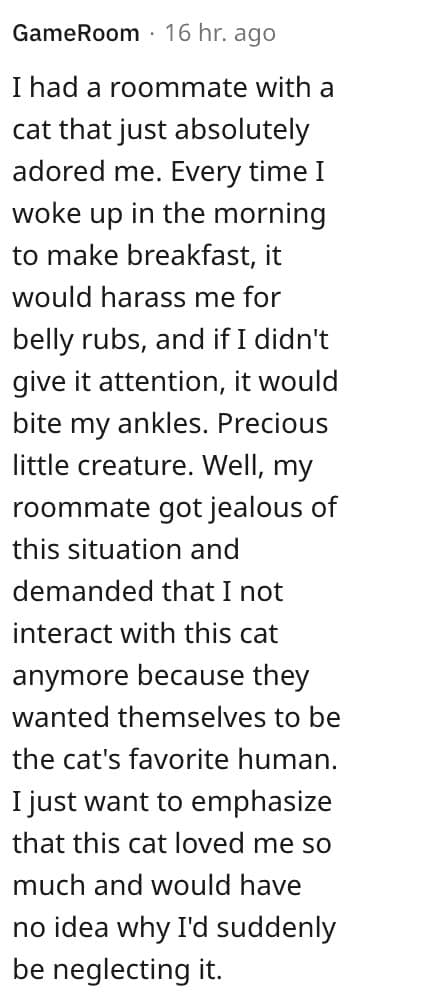 weird house rules. I had a roommate with a cat that just absolutely adored me. Every time I woke up in the morning to make breakfast, it would harass me for belly rubs, and if I didn't give it attention, it would bite my ankles.