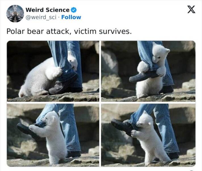 Weird science facts.