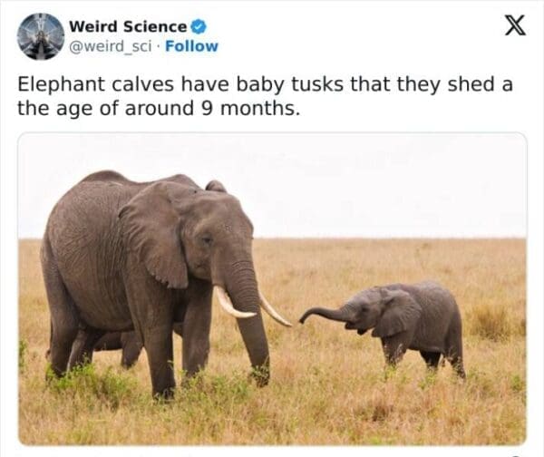 40 Weird Science Facts That Will Make You Question Everything You ...
