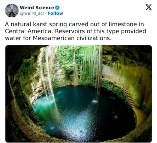 40 Weird Science Facts That Will Make You Question Everything You ...