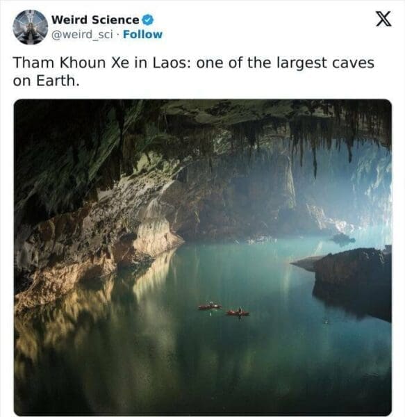 40 Weird Science Facts That Will Make You Question Everything You