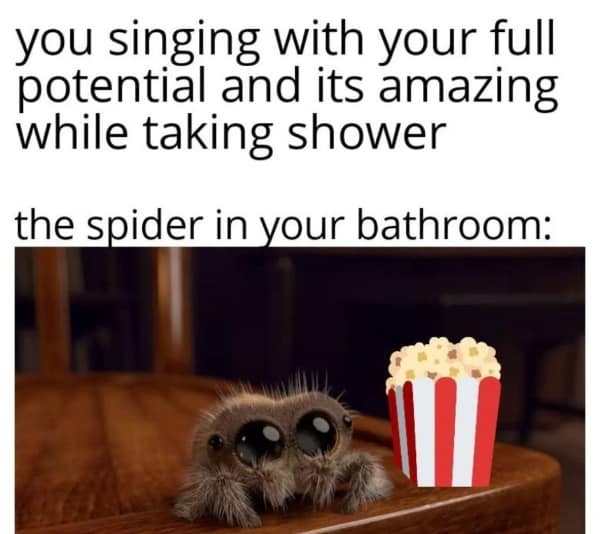 wholesome memes, heartwarming memes, uplifting memes, feel-good memes, inspirational memes, motivational memes