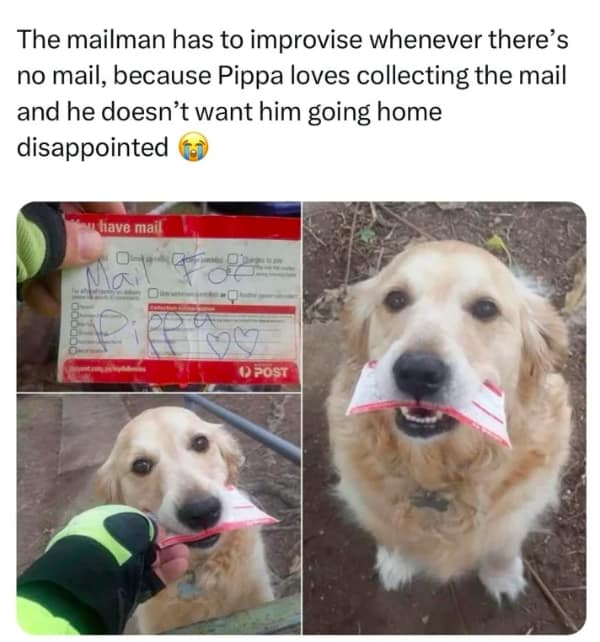 wholesome memes, heartwarming memes, uplifting memes, feel-good memes, inspirational memes, motivational memes