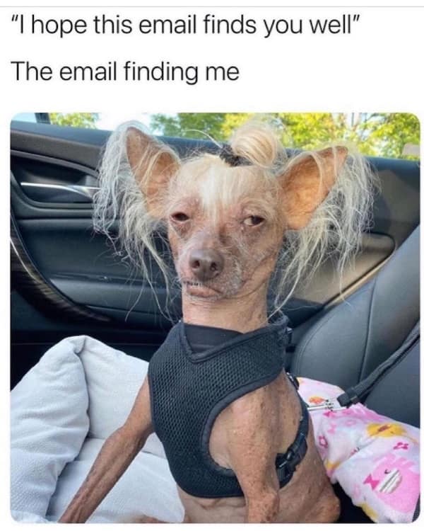 work memes, relatable office humor, Hilarious Work Tweets, Office Humor Compilation, Funny Work Fails, Hilarious Workplace Blunders, Comical Work Situations