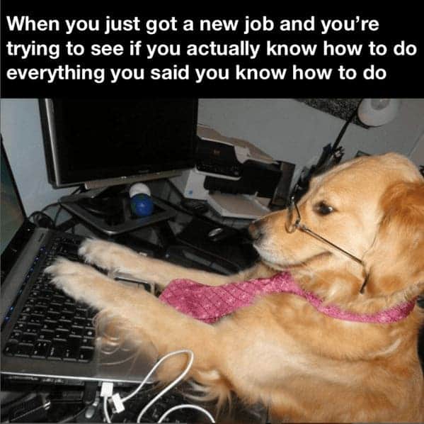 work memes, Office Humor, Work Struggles, Funny Work Fails, Office Shenanigans, Corporate Chaos, Hilarious Workplace Antics