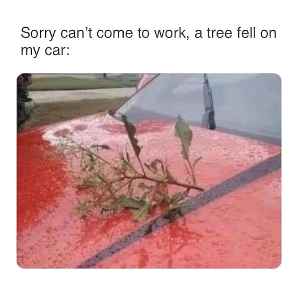 work memes, relatable office humor, Hilarious Work Tweets, Office Humor Compilation, Funny Work Fails, Hilarious Workplace Blunders, Comical Work Situations