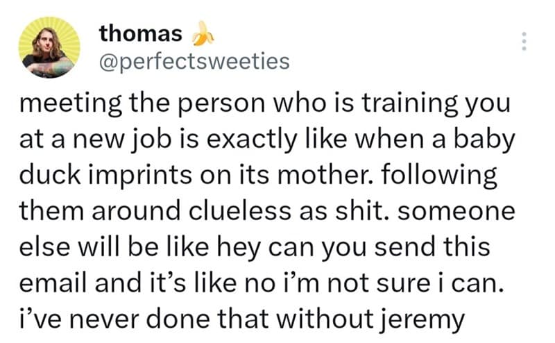 work memes, office memes, Office Humor, Workplace Comedy, Cubicle Culture Memes