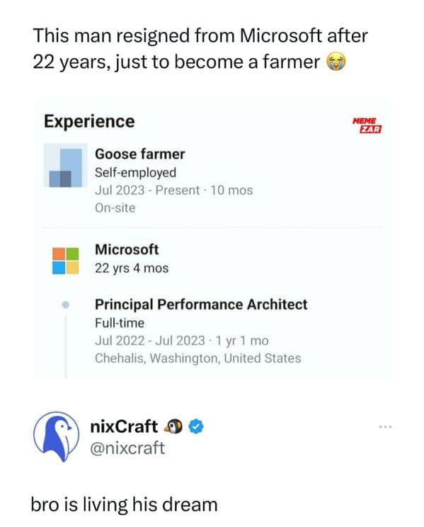 work memes, Office Humor, Work Struggles, Funny Work Fails, Office Shenanigans, Corporate Chaos, Hilarious Workplace Antics