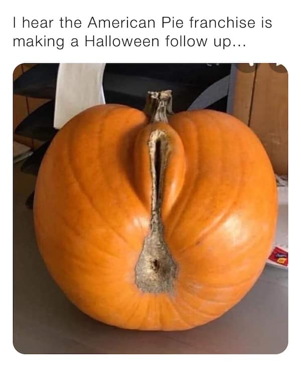 American Pie memes. I hear the American Pie franchise is making a Halloween follow up...