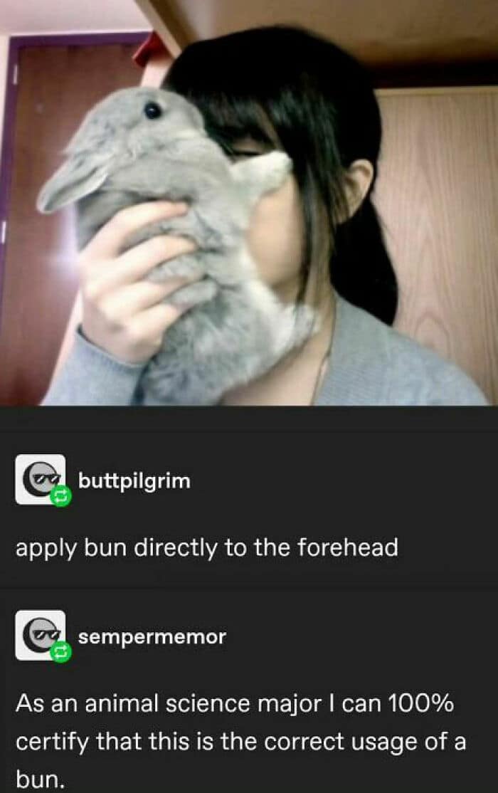 animal memes, funny animal jokes, pet humor, wildlife memes, creature comedy, furry funnies, zoological humor