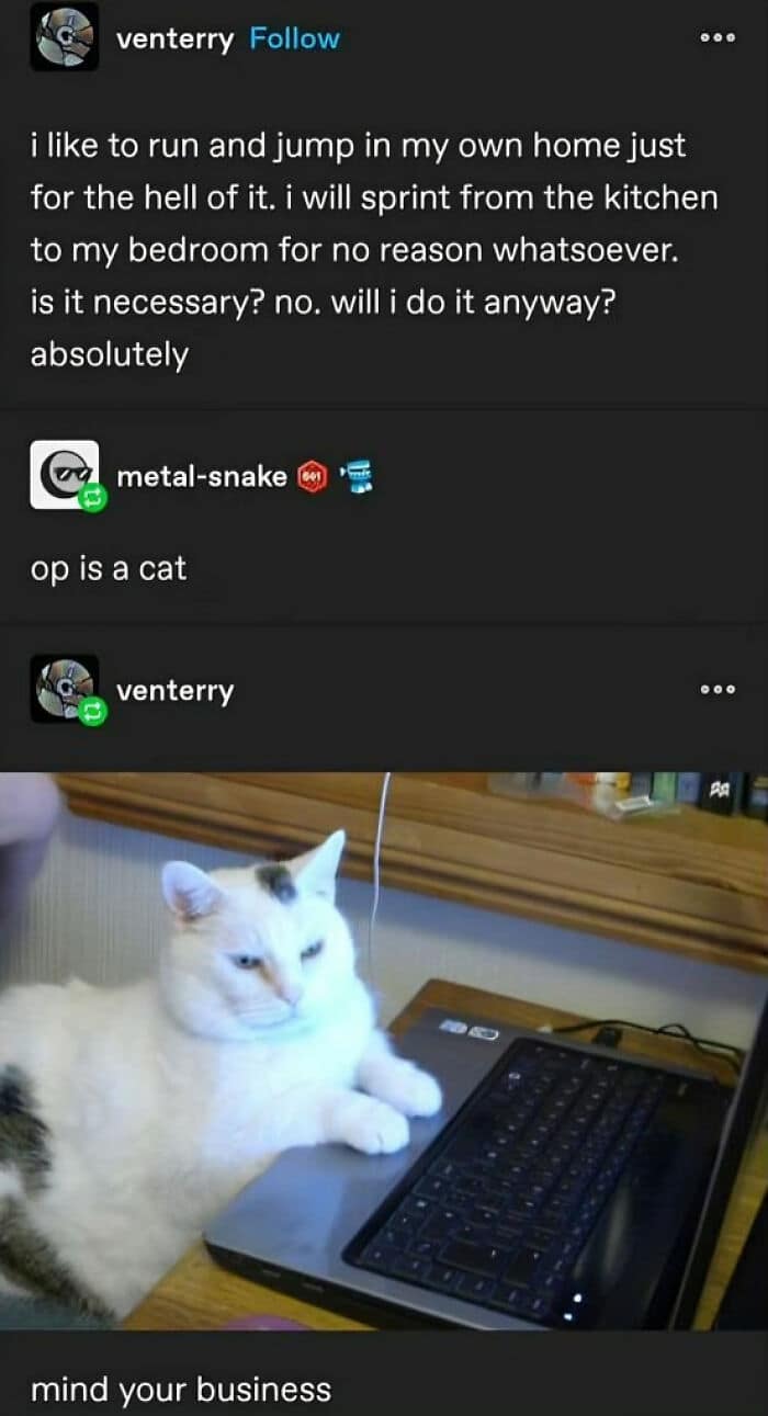 animal memes, funny animal jokes, pet humor, wildlife memes, creature comedy, furry funnies, zoological humor