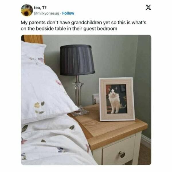 animal memes, pet memes, funny animal pictures, hilarious pet moments, animal jokes, pet humor, funny animal memes