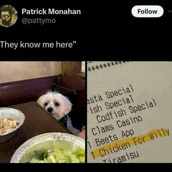 animal memes, pet memes, funny animal pictures, hilarious pet moments, animal jokes, pet humor, funny animal memes