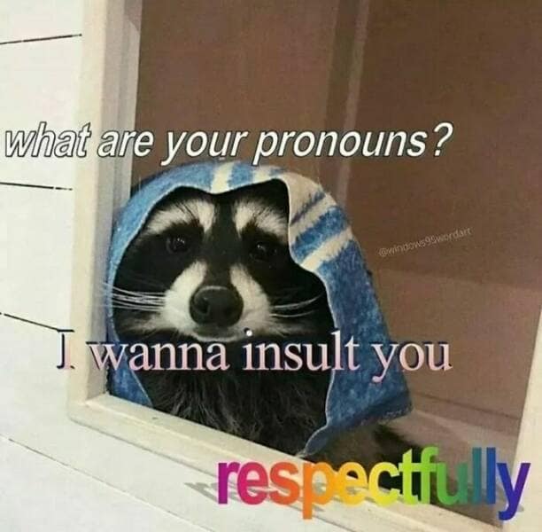 animal memes, pet memes, funny animal pictures, hilarious pet moments, animal jokes, pet humor, funny animal memes