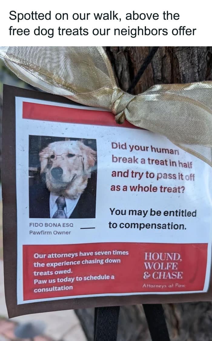 animal memes, funny animal jokes, pet humor, wildlife memes, creature comedy, furry funnies, zoological humor