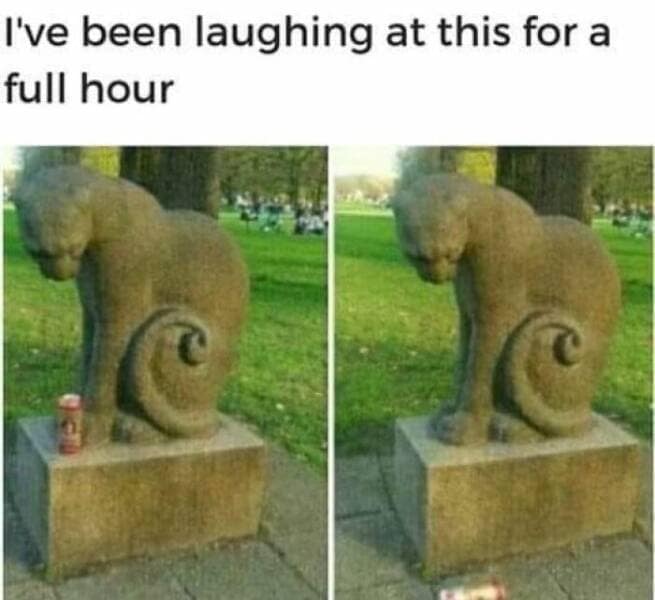 animal memes, grumpy animals, grumpy cat memes, pet memes, funny animal memes