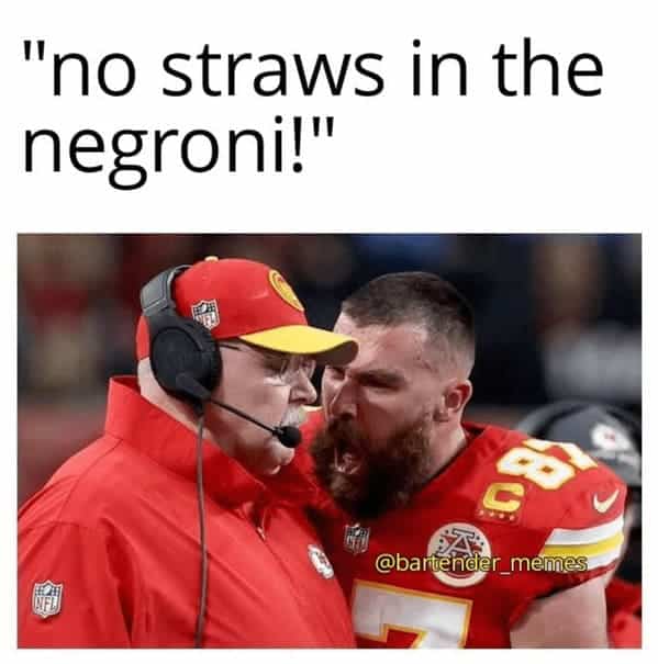 bartender memes. "no straws in the negroni!"