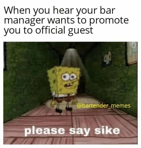bartender memes. When you hear your bar manager wants to promote you to official guest