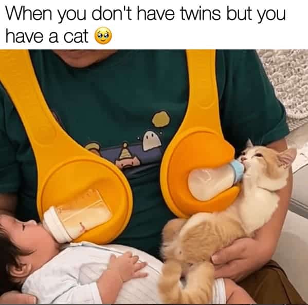 best cat memes. When you don't have twins but you have a cat