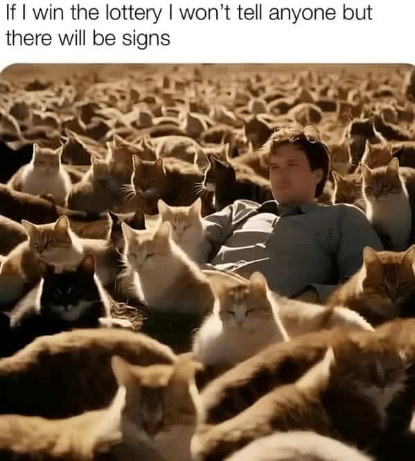 best cat memes. If I win the lottery I won't tell anyone but there will be signs